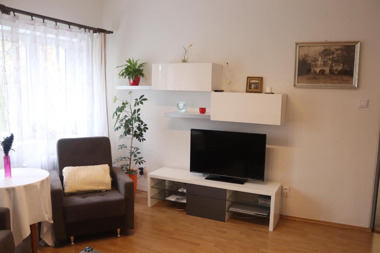 Apartman 825 Jáchymov Dış mekan fotoğraf