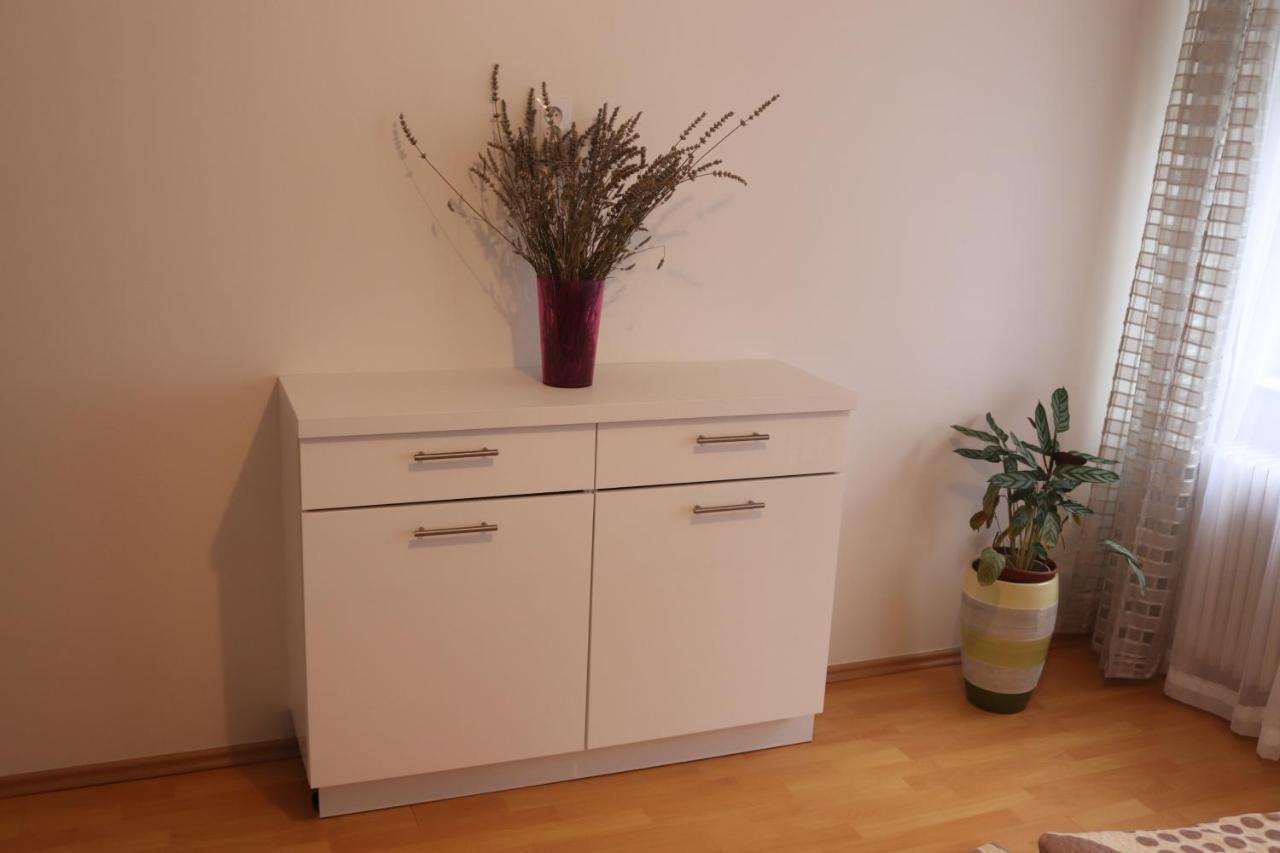 Apartman 825 Jáchymov Dış mekan fotoğraf