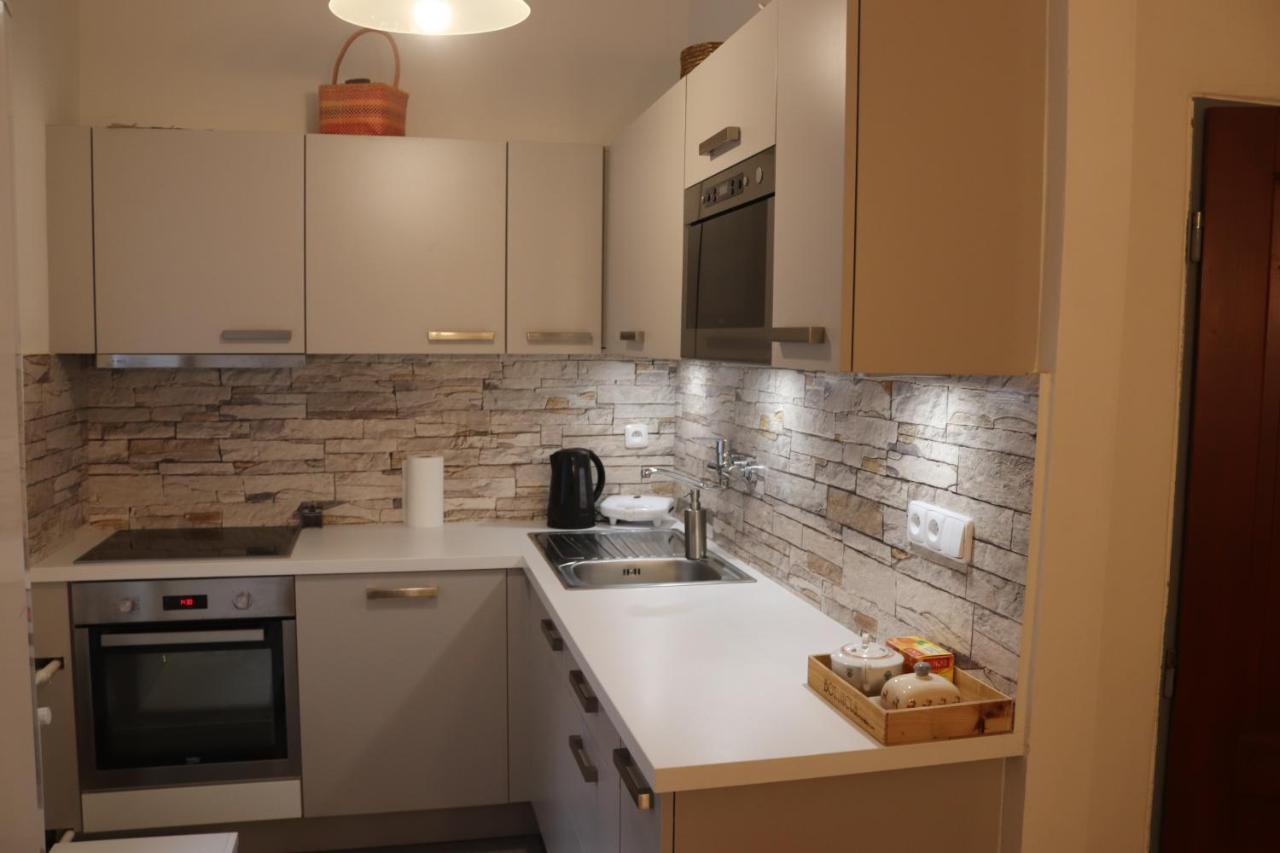 Apartman 825 Jáchymov Dış mekan fotoğraf